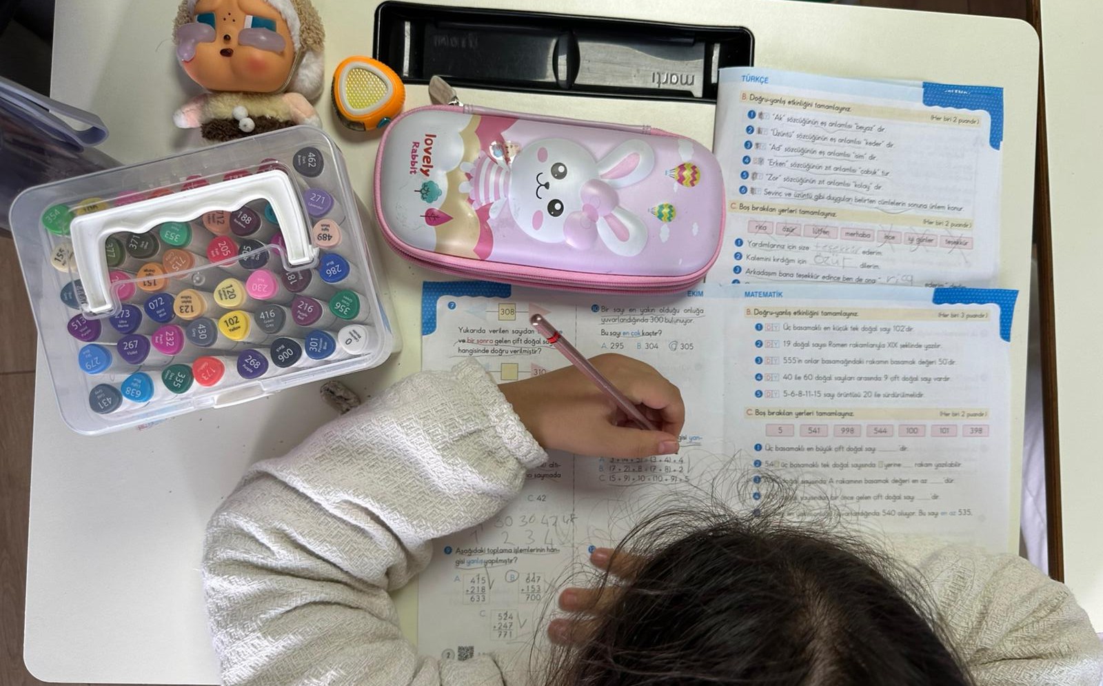 ÖĞRENCİ KOÇLUĞU 